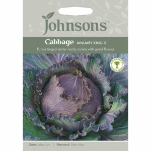 Johnsons January King 3 Cabbage Seeds