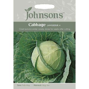 Johnsons Langedijk 4 Cabbage Seeds