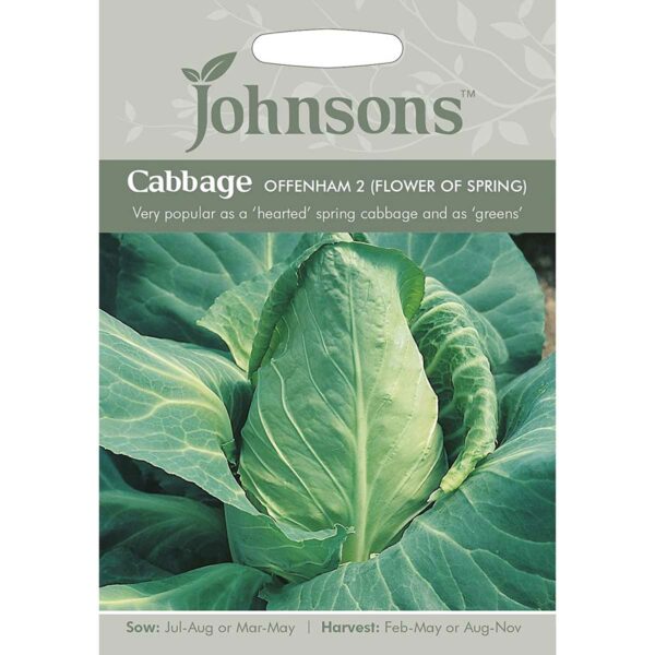 Johnsons Offenham 2 (Flower Of Spring) Cabbage Seeds