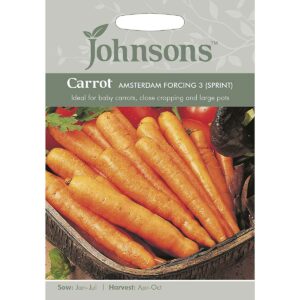 Johnsons Amsterdam Forcing 3 (Sprint) Carrot Seeds