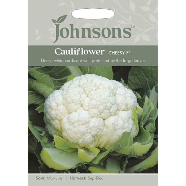 Johnsons Cheesy F1 Cauliflower Seeds
