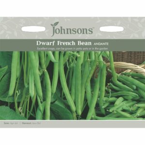 Johnsons Andante Dwarf French Bean Seeds