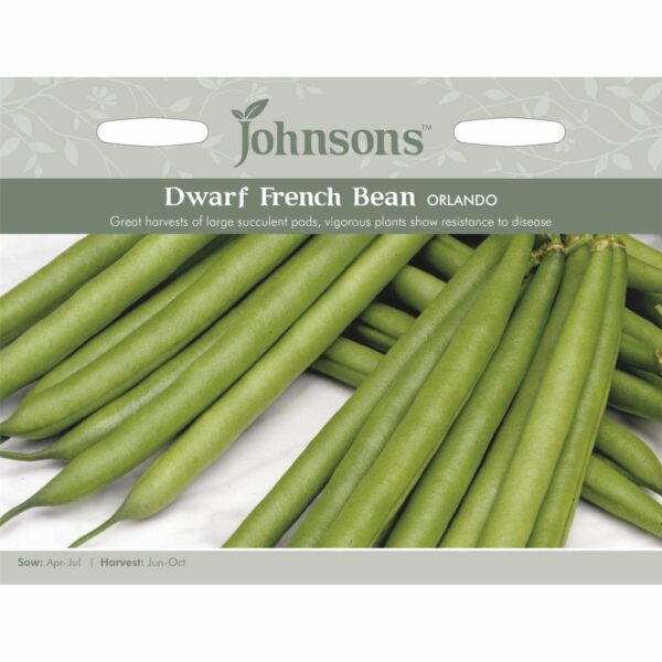 Johnsons Orlando Dwarf French Bean Seeds