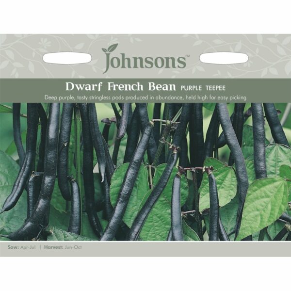 Johnsons Purple Teepee Dwarf French Bean Seeds
