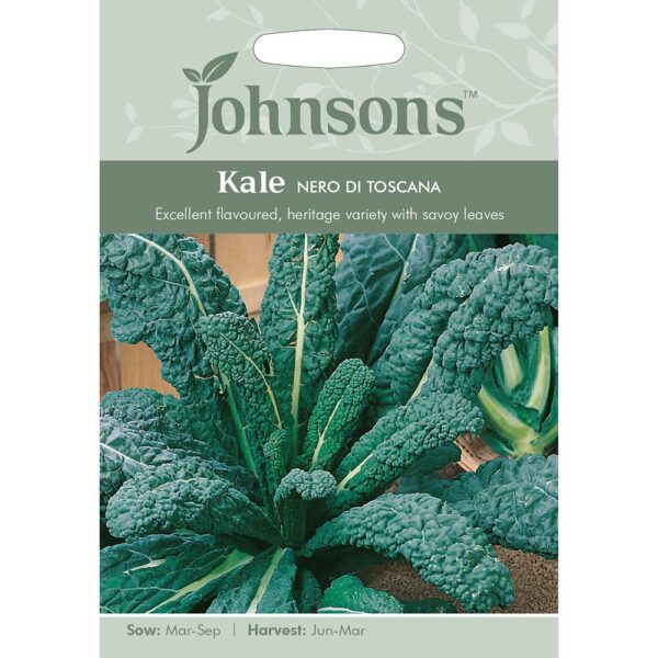 Johnsons Nero Di Toscana Kale Seeds