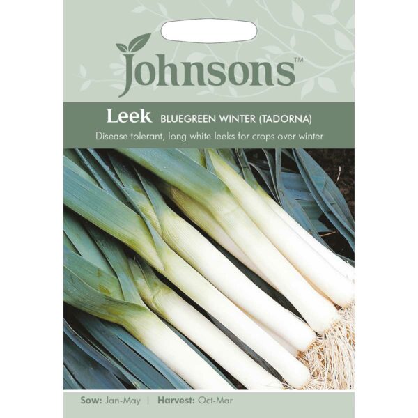 Johnsons Bluegreen Winter (Tadorna) Leek Seeds