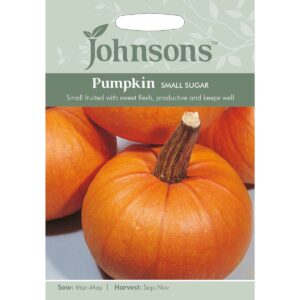 Johnsons Small Sugar Pumpkin Seeds