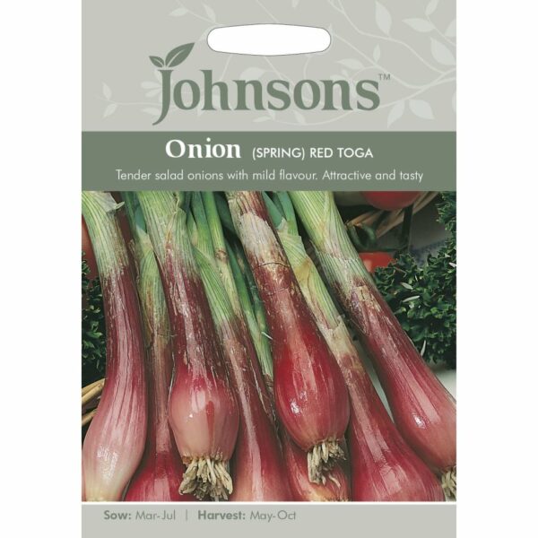 Johnsons Red Toga Spring Onion Seeds