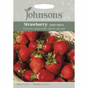 Johnsons Sweet Fresca Strawberry Seeds