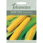 Johnsons Bodacious RM F1 Sweet Corn Seeds