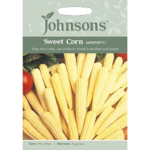 Johnsons Minipop F1 Sweet Corn Seeds
