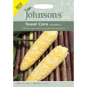 Johnsons Picasso F1 Sweet Corn Seeds