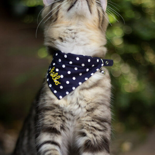 Joules Hello Neckerchief Cat Collar is easy to wear