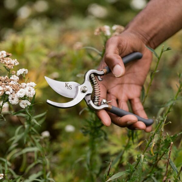 Kent & Stowe Traditional Bypass Secateurs in use