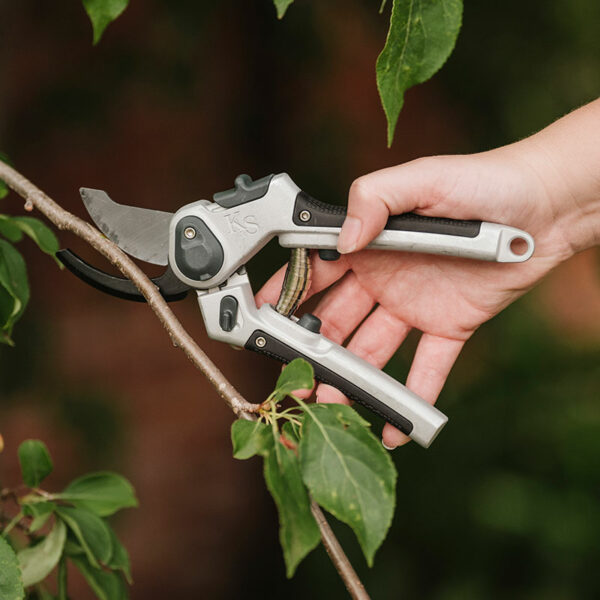 A pair of Kent & Stowe Eversharp All Purpose Lite Secateurs cutting through a branch. The secateurs have black rubber handles and dark carbon blades.