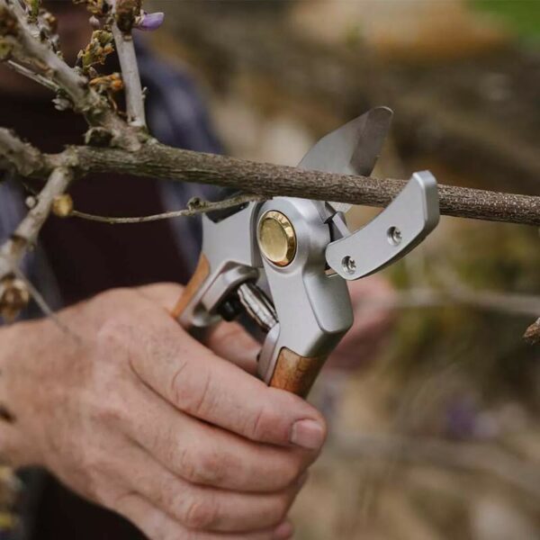 The Kent & Stowe Eversharp Anvil Secateurs cutting through a thicker branch.