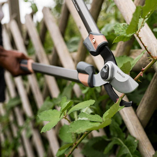 Kent & Stowe SureCut All Purpose Bypass Loppers, in use pruning bramble