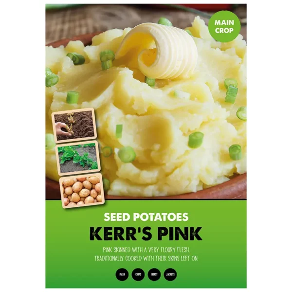 Kerr's Pink Main Crop Seed Potatoes (2kg bag)