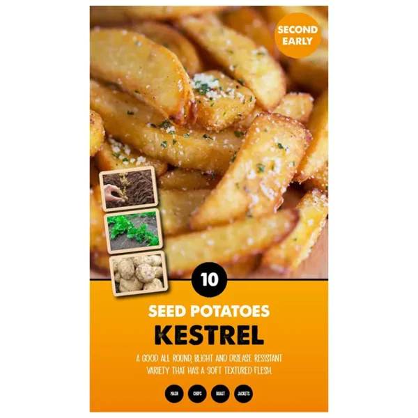 Kestrel Second Early Seed Potatoes 10 Tubers