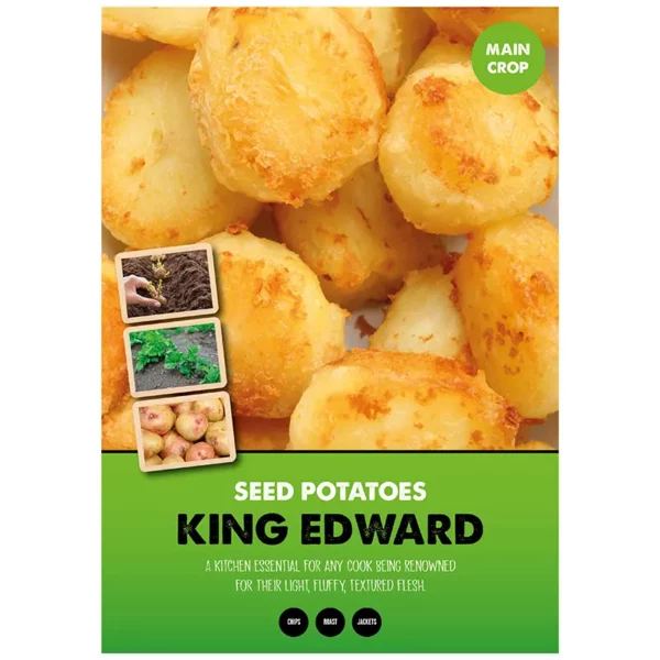King Edward Main Crop Seed Potatoes 2kg