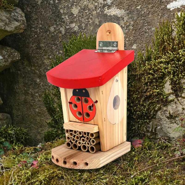 Ladybird & Insect Lodge in garden