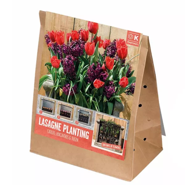 Lasagne Planting Bulb Mix 'Red & Purple' (30 bulbs) packshot