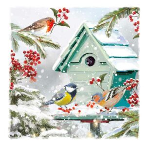 Ling Design Charity Christmas Cards - Christmas In The Garden (Pack of 6)