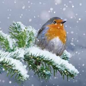 Ling Design Charity Christmas Cards - Snowy Branch (Pack of 6)