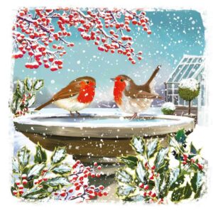 Ling Design Charity Christmas Cards - Snowy Birdbath (Pack of 6)