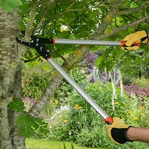 Loppers, Branch Cutters & Lopping Shears