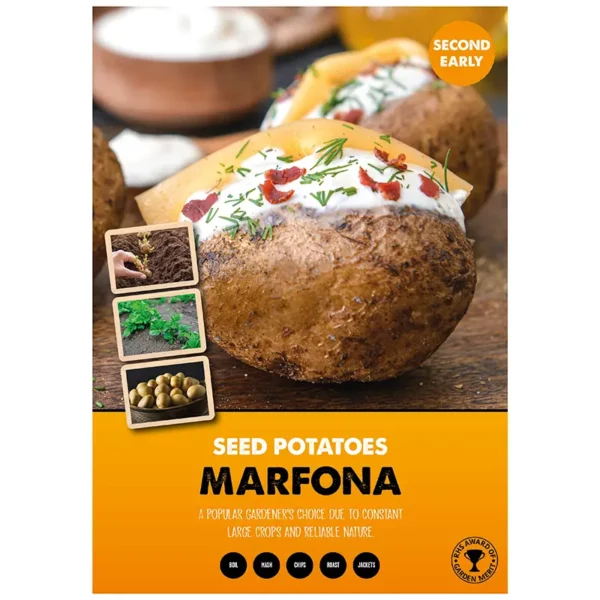 Marfona Second Early Seed Potatoes 2kg