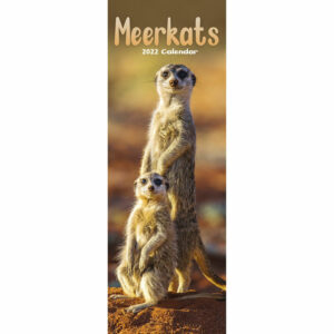 Otter House Meerkats Slim Calendar 2022