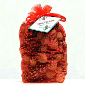 Milford Collection Winter Spice Scented Pine Cones