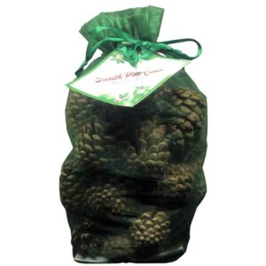 Milford Collection Scented Pine Cones - Green Bag