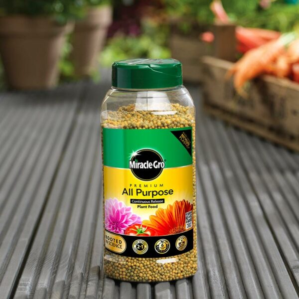 A 900g, transparent bottle of Miracle-Gro All Purpose Continuous Release Plant Food granules sat on decking.