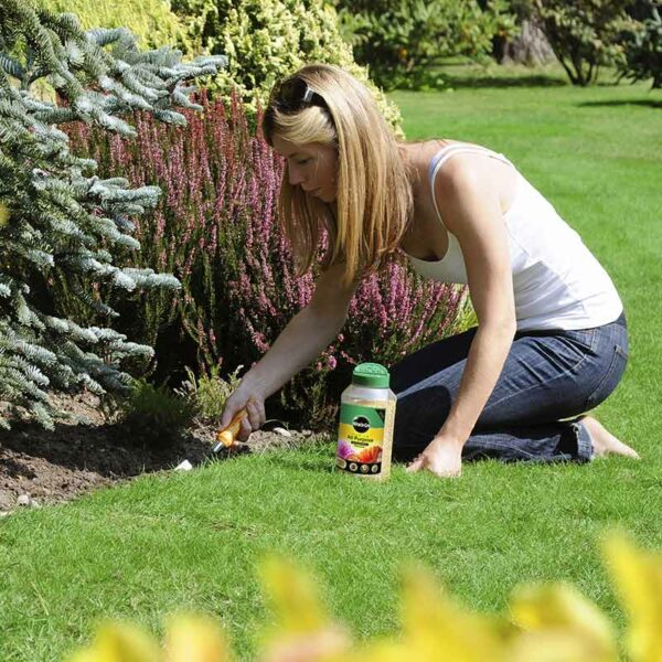 A woman planting in a flower bed using Miracle-Gro All Purpose Continuous Release Plant Food.