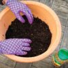 A terracotta pot containing soil manure with Miracle-Gro All Purpose Continuous Release Plant Food mixed in.