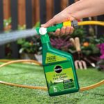 Miracle-Gro Evergreen Fast Green Spray & Feed Lifestyle 2