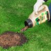 Miracle-Gro Patch Magic Grass Seed, Feed & Coir Lifestyle 2