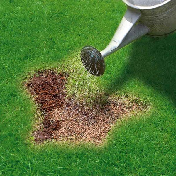 Miracle-Gro Patch Magic Grass Seed, Feed & Coir Lifestyle 4