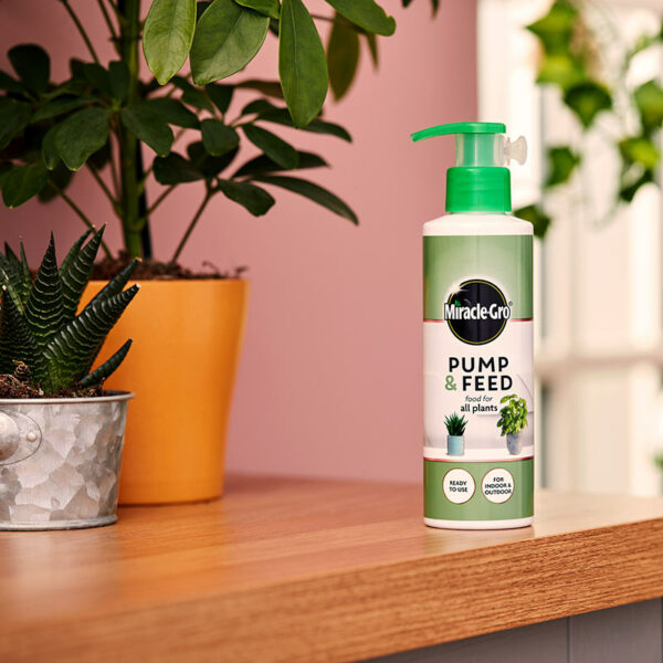 The Miracle-Gro Pump & Feed for All Plants bottle on a wooden shelf.