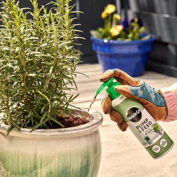 A bottle of Miracle-Gro Pump & Feed for All Plants being sprayed into a plant pot.