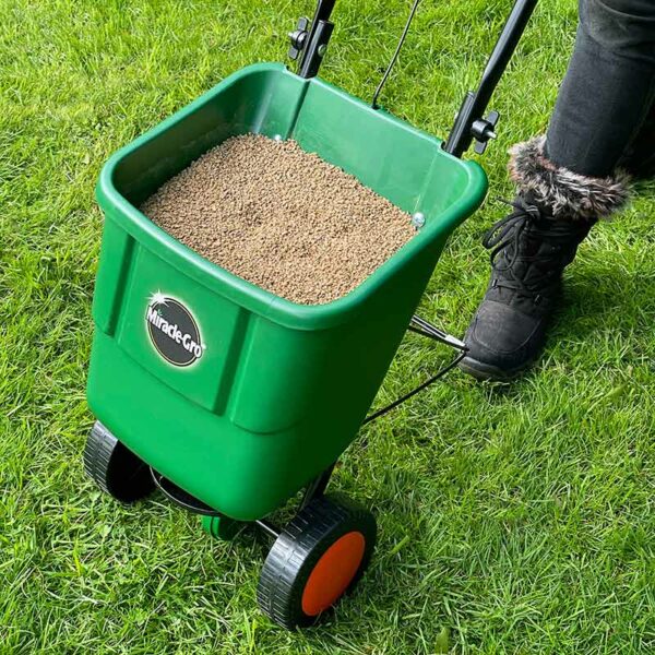A green Miracle-Gro rotary lawn spreader on grass, filled with seed or feed.