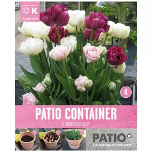 Mixed Double Pastel Tulips Patio Container Collection 'Pink & White' (12 bulbs)