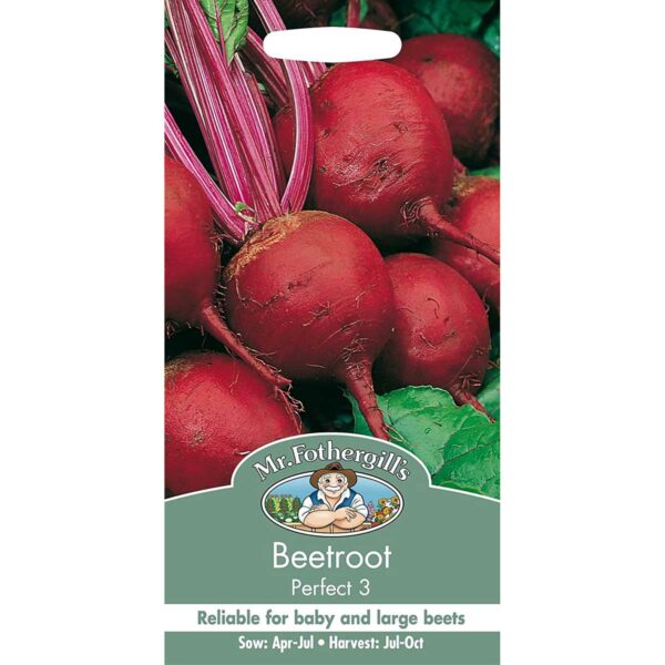 Mr Fothergill's Perfect 3 Beetroot Seeds