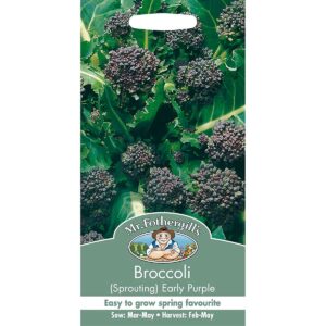 Mr Fothergill's Early Purple Sprouting Broccoli Seeds