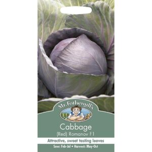 Mr Fothergill's (Red) Romanov F1 Cabbage Seeds