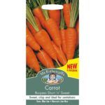 Mr Fothergill's Burpees Short 'N' Sweet Carrot Seeds
