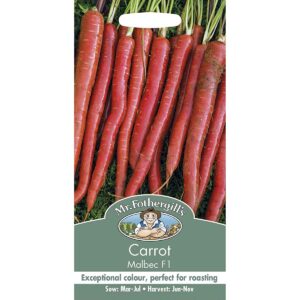 Mr Fothergill's Malbec F1 Carrot Seeds