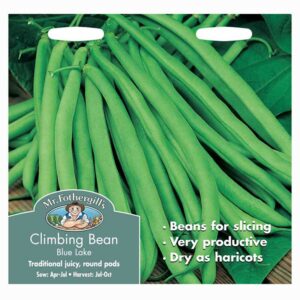 Mr Fothergill's Climbing French Bean Blue Lake Seeds